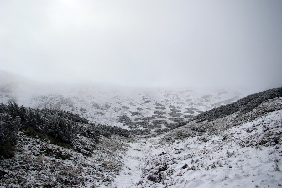 Poľana z Jasnej pod Chopkom (Nízke Tatry)