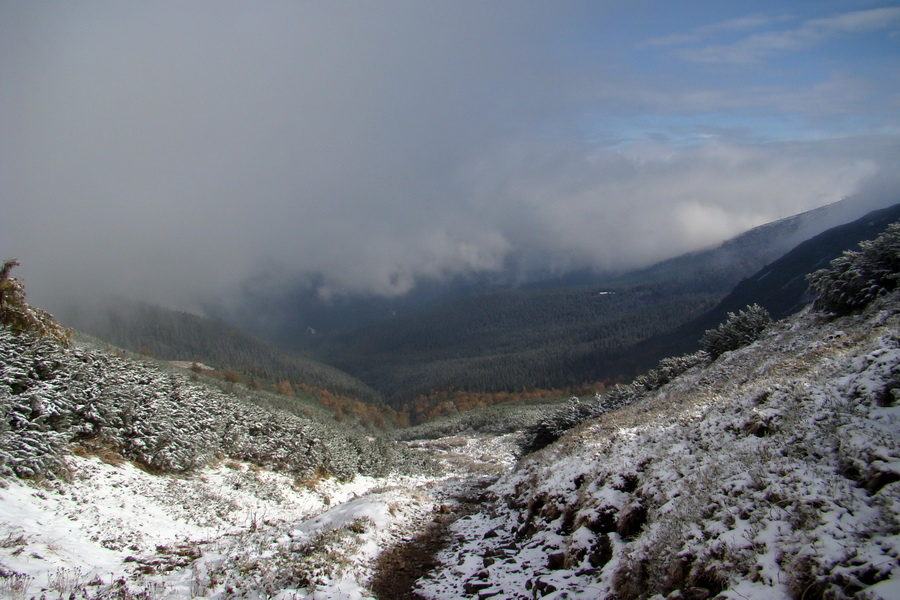 Poľana z Jasnej pod Chopkom (Nízke Tatry)