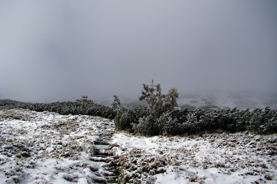 Poľana z Jasnej pod Chopkom (Nízke Tatry)