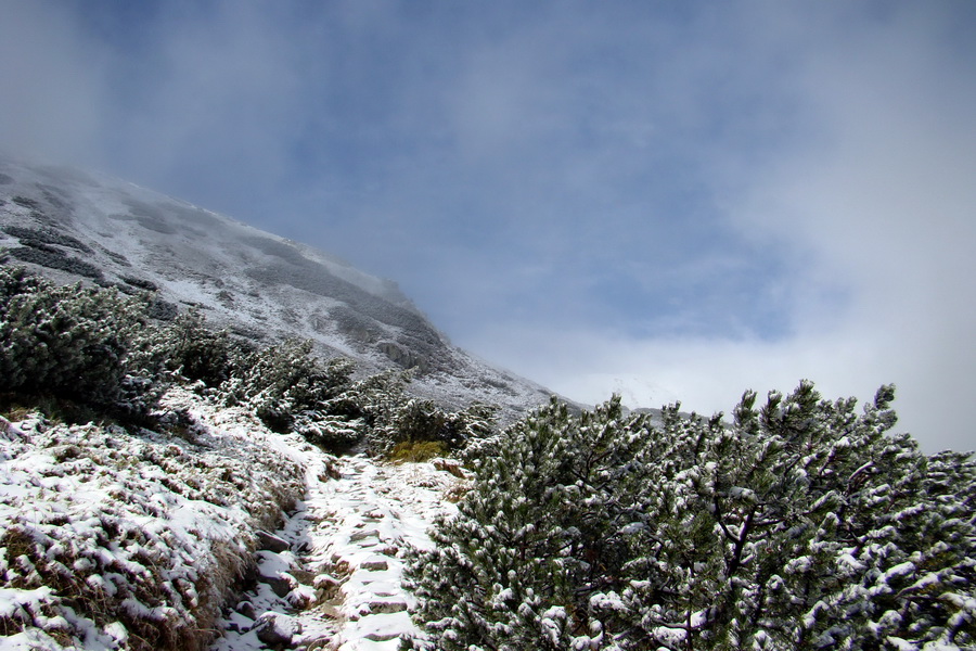 Poľana z Jasnej pod Chopkom (Nízke Tatry)