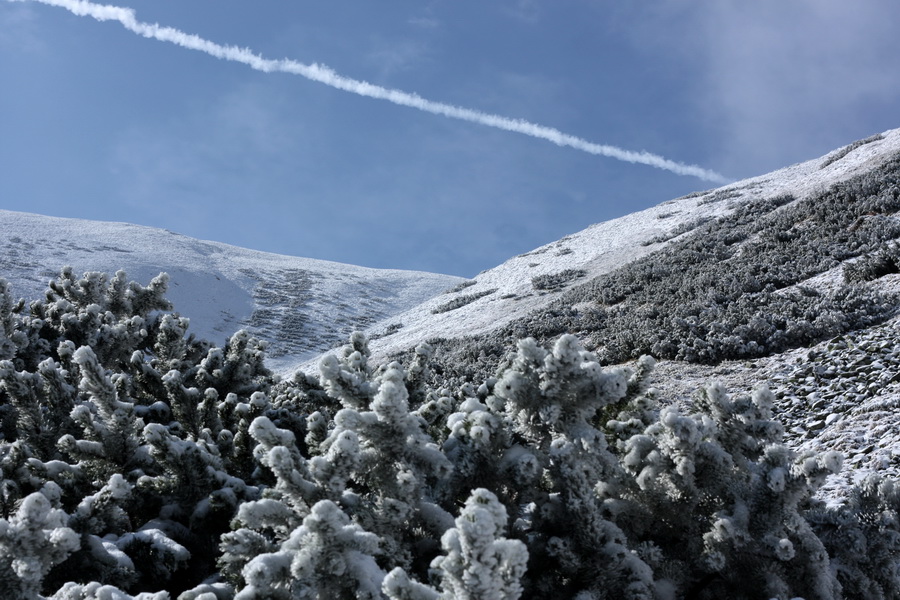 Poľana z Jasnej pod Chopkom (Nízke Tatry)