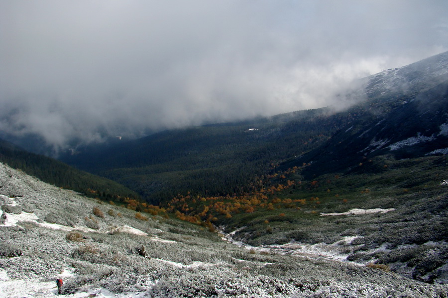 Poľana z Jasnej pod Chopkom (Nízke Tatry)