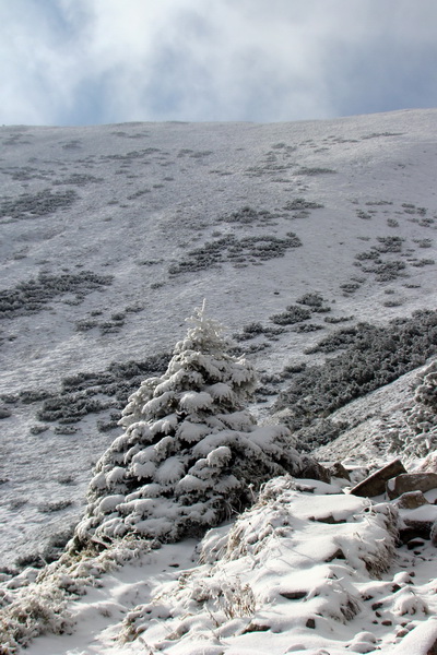 Poľana z Jasnej pod Chopkom (Nízke Tatry)