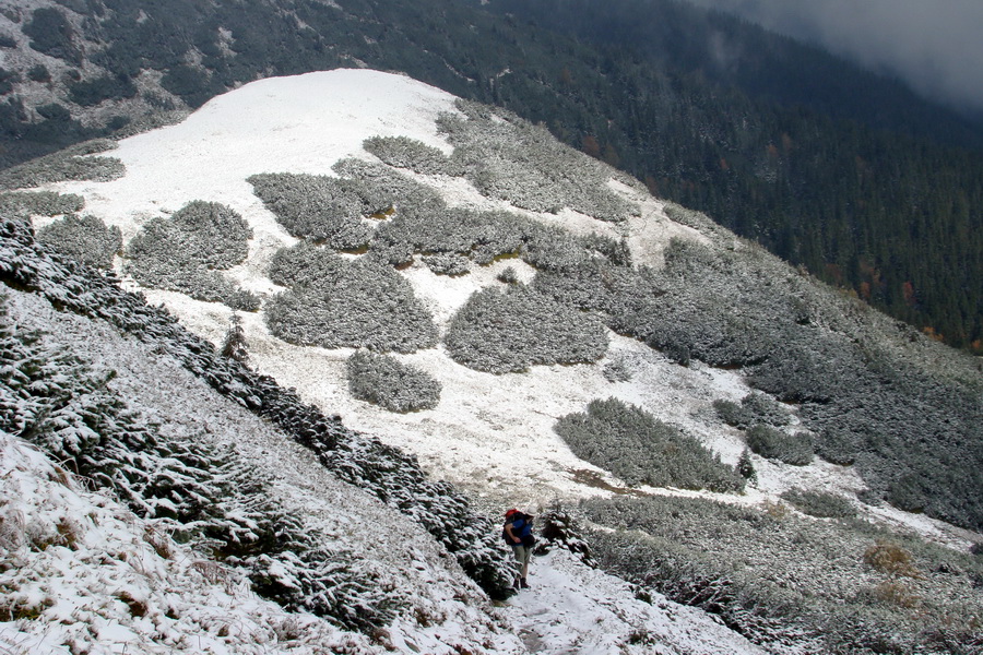 Poľana z Jasnej pod Chopkom (Nízke Tatry)