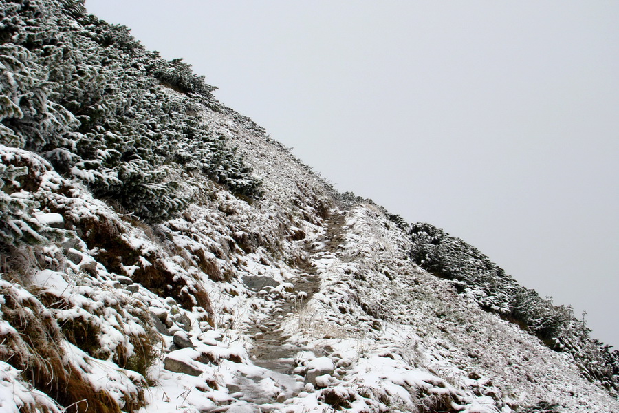 Poľana z Jasnej pod Chopkom (Nízke Tatry)