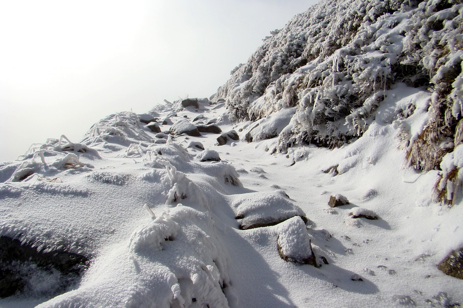 Poľana z Jasnej pod Chopkom (Nízke Tatry)