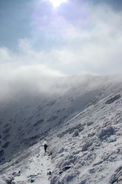 Poľana z Jasnej pod Chopkom (Nízke Tatry)