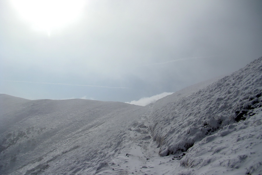 Poľana z Jasnej pod Chopkom (Nízke Tatry)