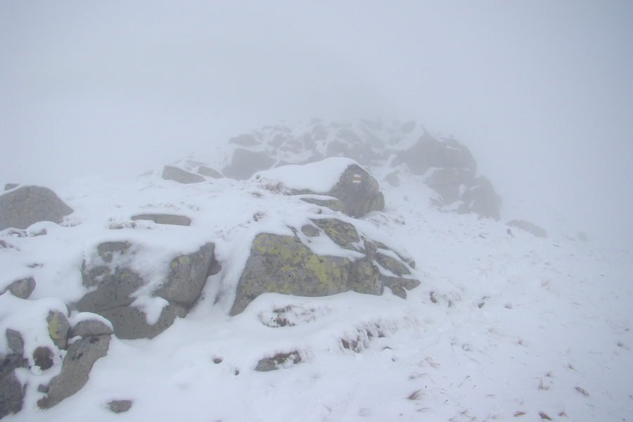 Poľana z Jasnej pod Chopkom (Nízke Tatry)