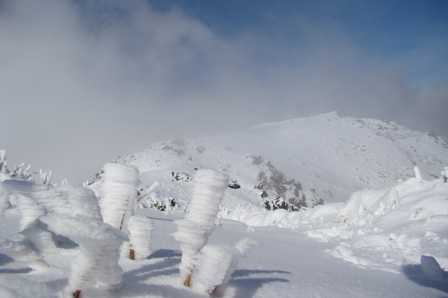 Poľana z Jasnej pod Chopkom (Nízke Tatry)