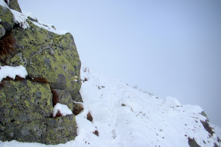 Poľana z Jasnej pod Chopkom (Nízke Tatry)