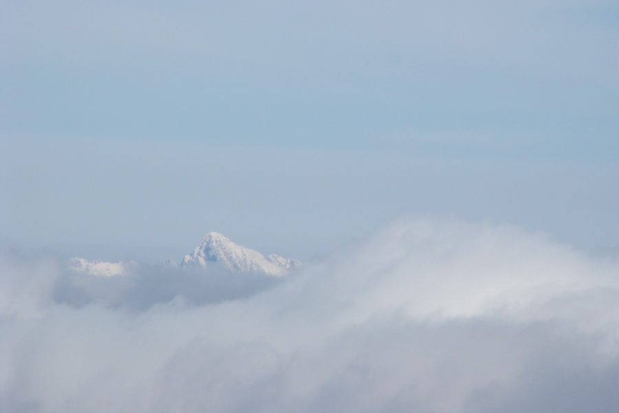 Poľana z Jasnej pod Chopkom (Nízke Tatry)