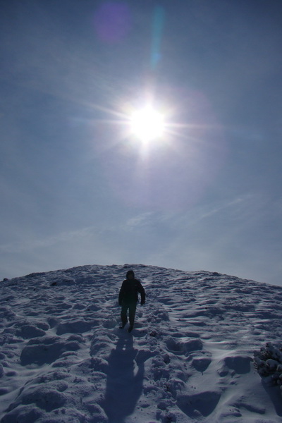 Poľana z Jasnej pod Chopkom (Nízke Tatry)