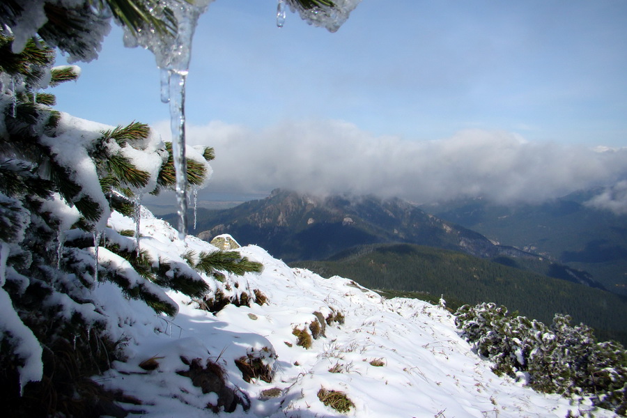 Poľana z Jasnej pod Chopkom (Nízke Tatry)