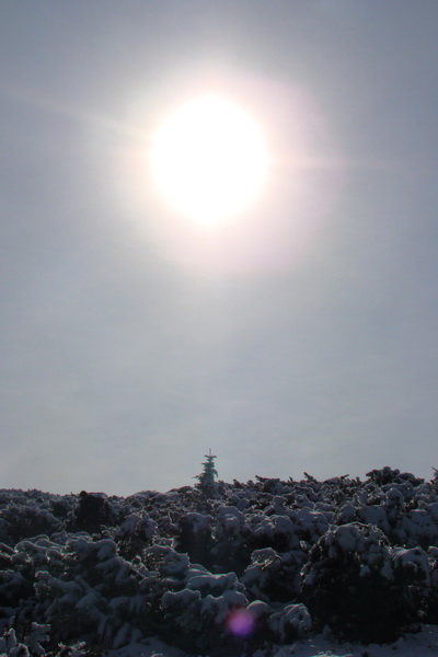 Poľana z Jasnej pod Chopkom (Nízke Tatry)