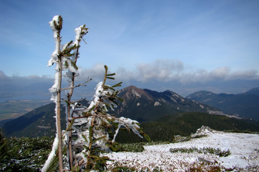 Poľana z Jasnej pod Chopkom (Nízke Tatry)