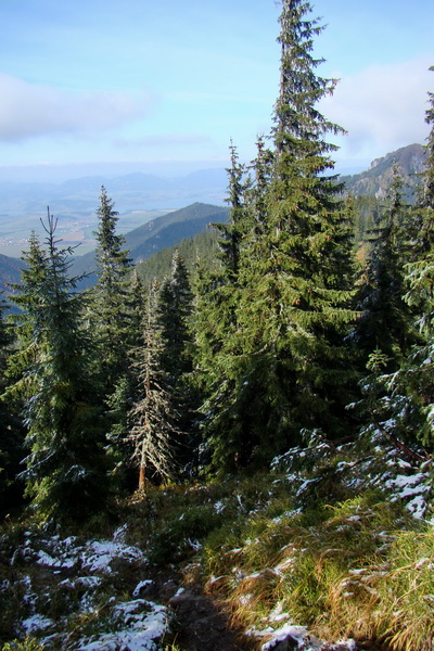 Poľana z Jasnej pod Chopkom (Nízke Tatry)