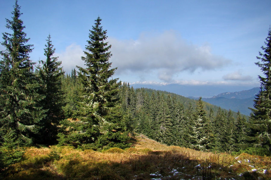 Poľana z Jasnej pod Chopkom (Nízke Tatry)