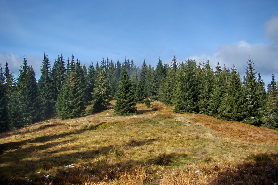 Poľana z Jasnej pod Chopkom (Nízke Tatry)