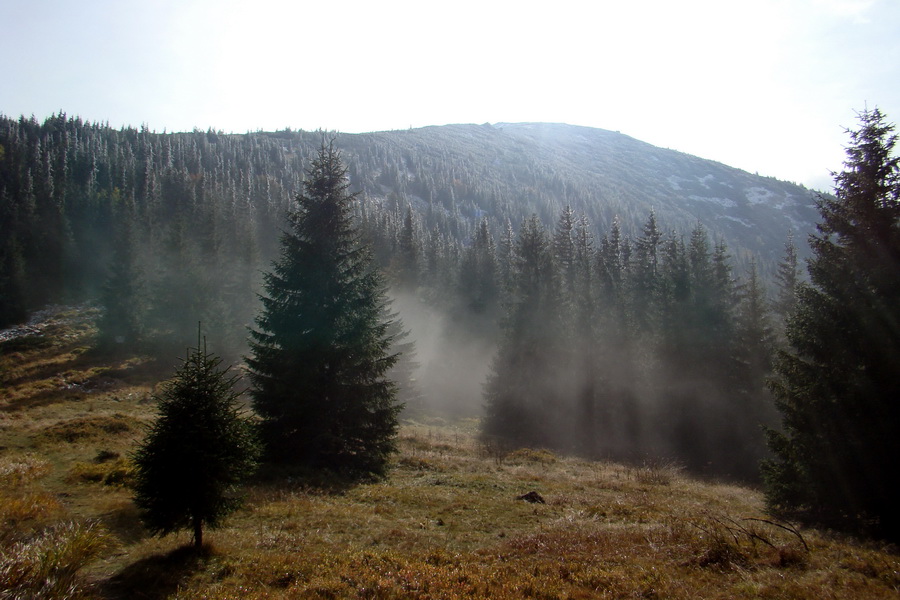 Poľana z Jasnej pod Chopkom (Nízke Tatry)