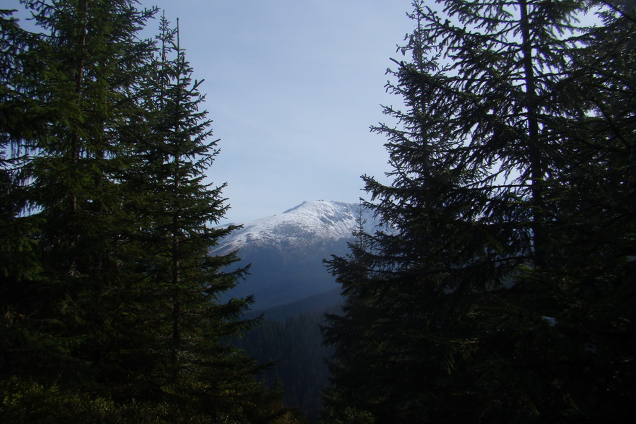 Poľana z Jasnej pod Chopkom (Nízke Tatry)