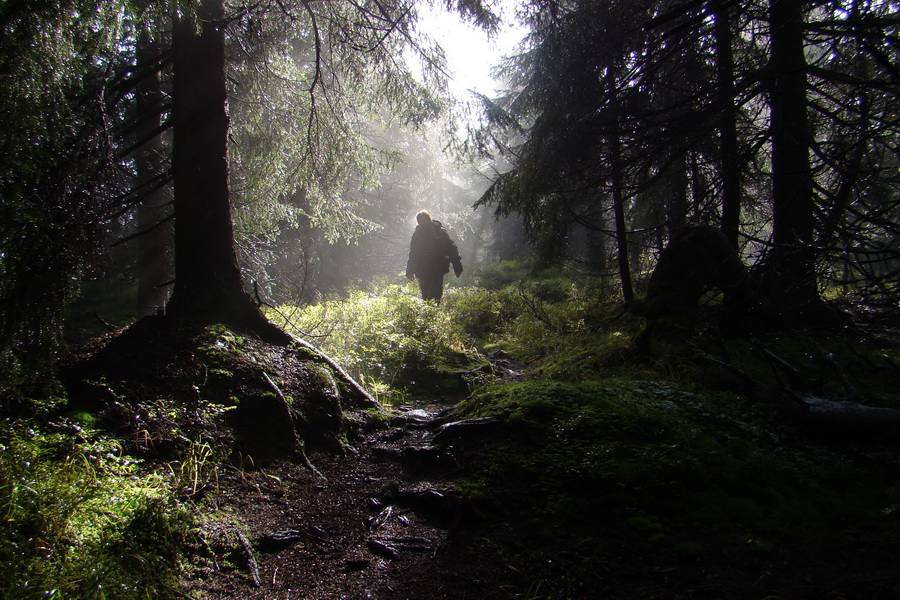 Poľana z Jasnej pod Chopkom (Nízke Tatry)