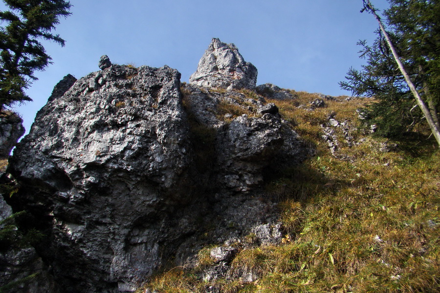 Poľana z Jasnej pod Chopkom (Nízke Tatry)