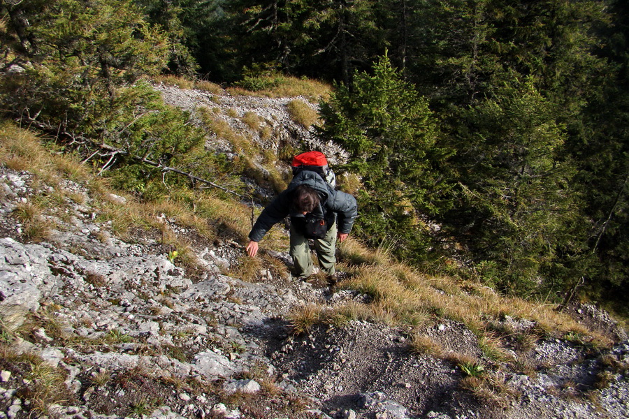 Poľana z Jasnej pod Chopkom (Nízke Tatry)