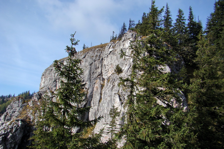 Poľana z Jasnej pod Chopkom (Nízke Tatry)