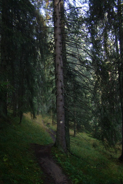 Poľana z Jasnej pod Chopkom (Nízke Tatry)