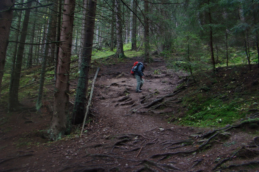 Poľana z Jasnej pod Chopkom (Nízke Tatry)