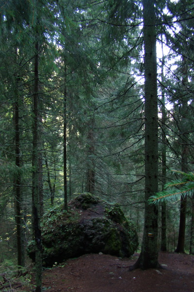 Poľana z Jasnej pod Chopkom (Nízke Tatry)