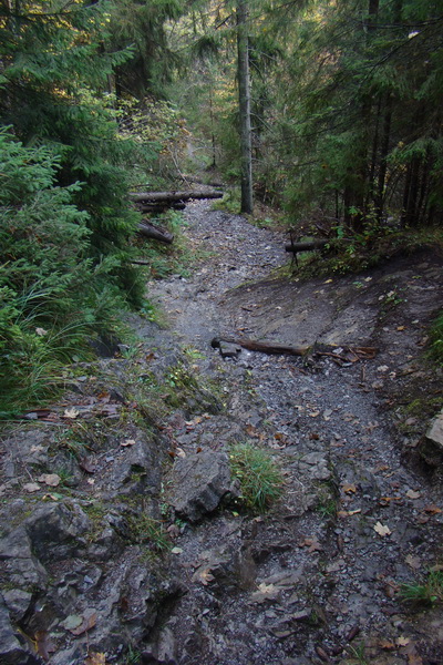 Poľana z Jasnej pod Chopkom (Nízke Tatry)