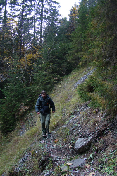 Poľana z Jasnej pod Chopkom (Nízke Tatry)