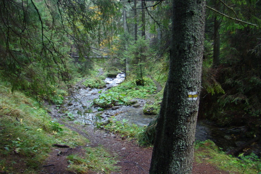 Poľana z Jasnej pod Chopkom (Nízke Tatry)