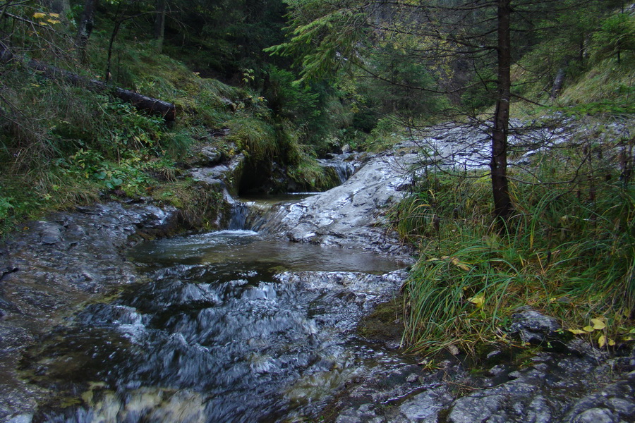 Poľana z Jasnej pod Chopkom (Nízke Tatry)