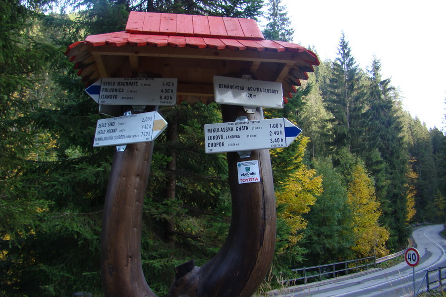 Poľana z Jasnej pod Chopkom (Nízke Tatry)