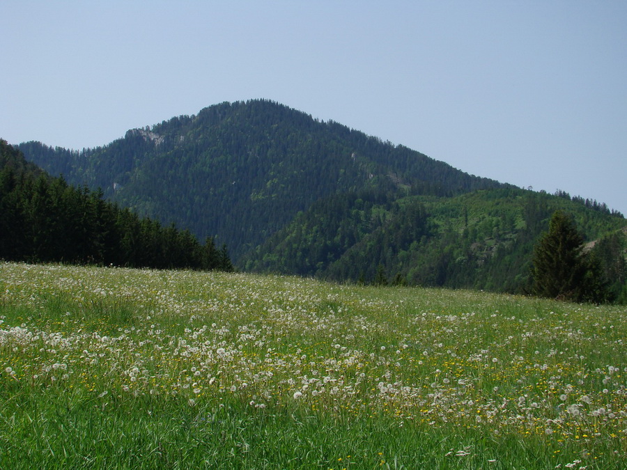 Poludnica z Iľanova (Nízke Tatry)