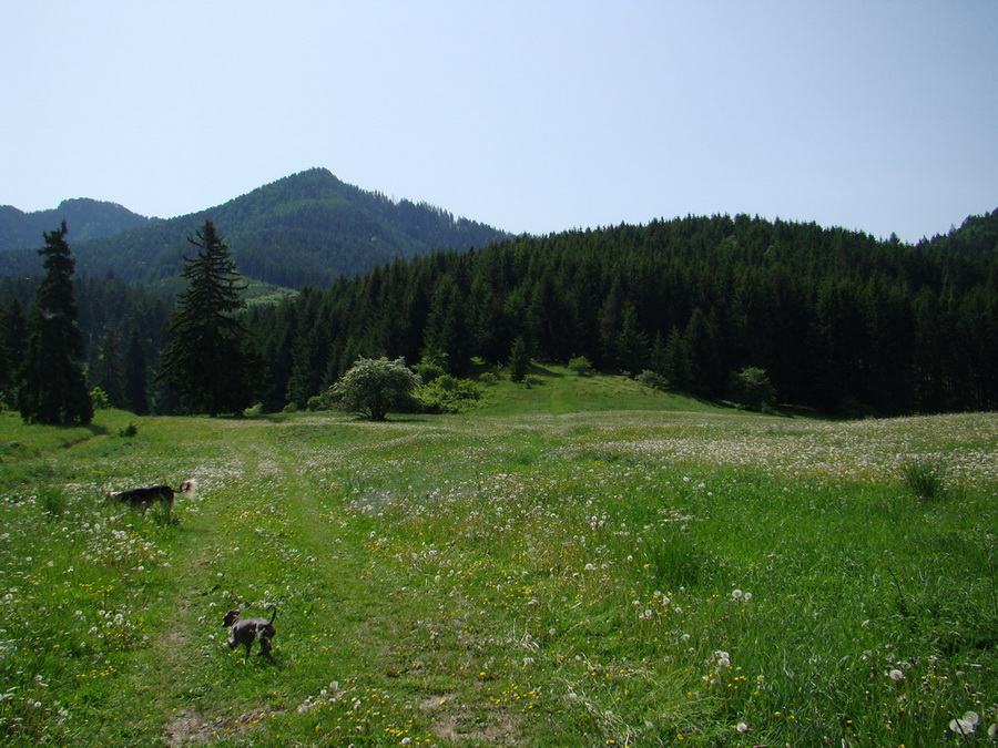 Poludnica z Iľanova (Nízke Tatry)