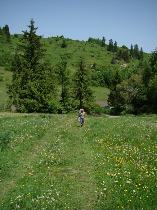 Poludnica z Iľanova (Nízke Tatry)