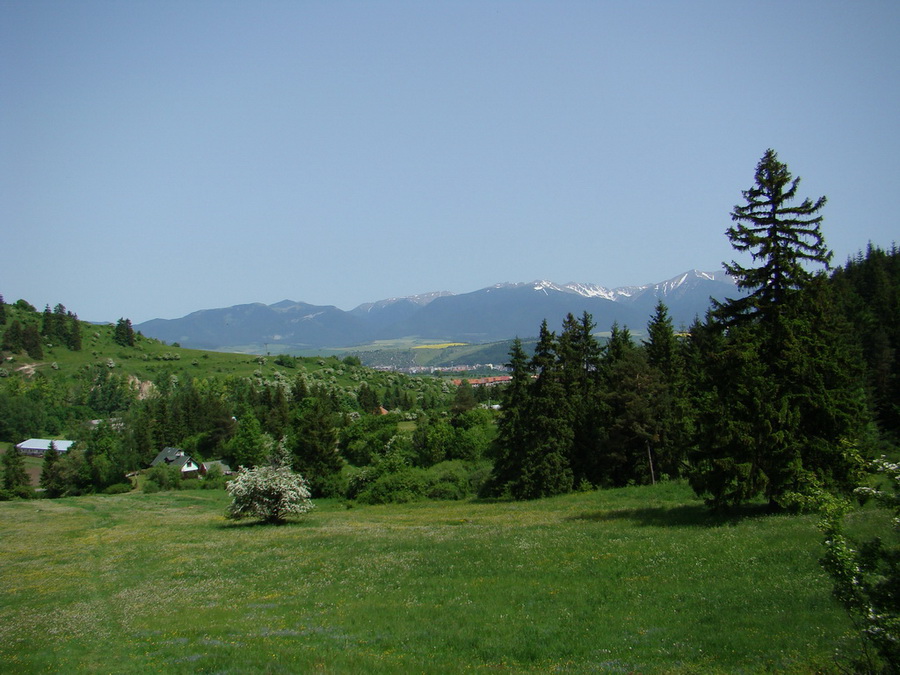 Poludnica z Iľanova (Nízke Tatry)