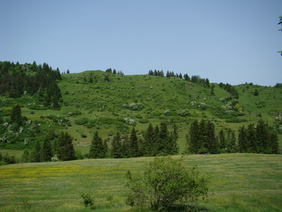 Poludnica z Iľanova (Nízke Tatry)