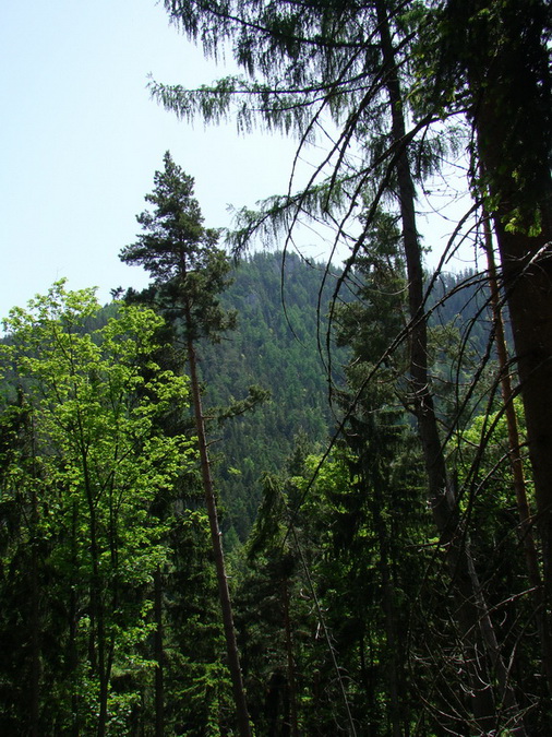 Poludnica z Iľanova (Nízke Tatry)