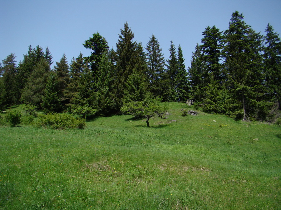 Poludnica z Iľanova (Nízke Tatry)