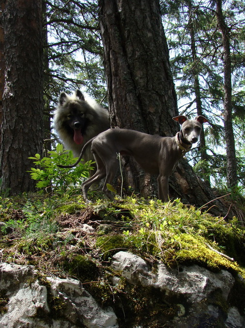 Poludnica z Iľanova (Nízke Tatry)