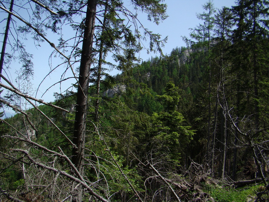 Poludnica z Iľanova (Nízke Tatry)