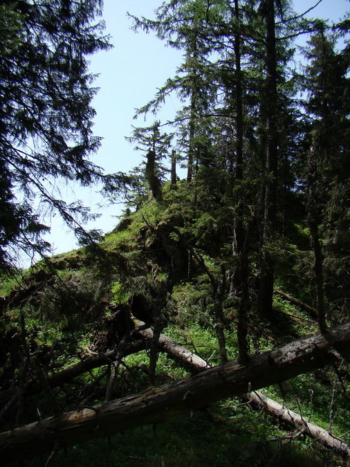 Poludnica z Iľanova (Nízke Tatry)