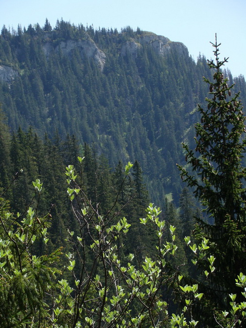 Poludnica z Iľanova (Nízke Tatry)