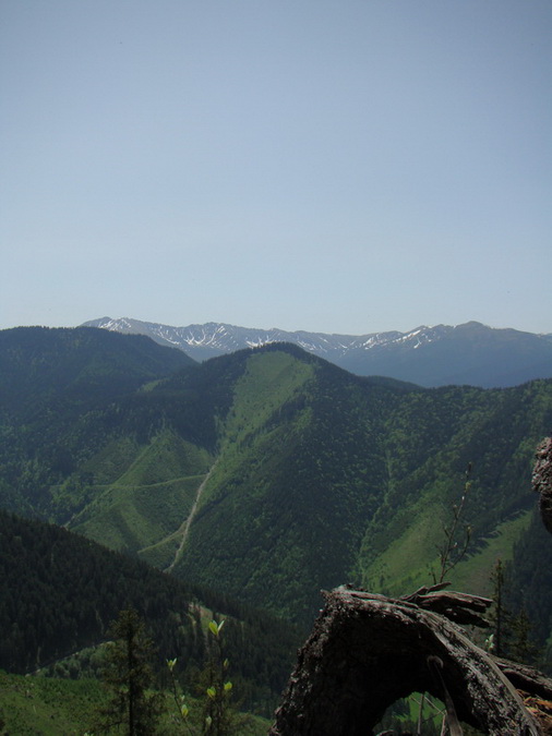 Poludnica z Iľanova (Nízke Tatry)