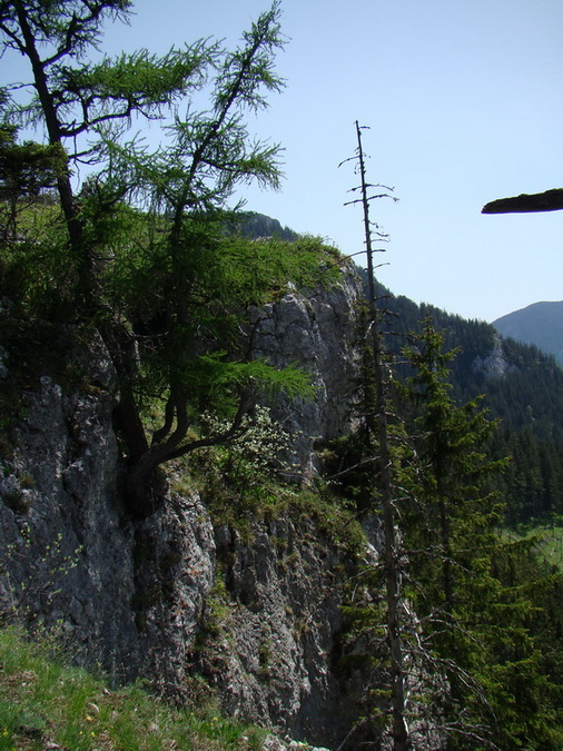 Poludnica z Iľanova (Nízke Tatry)